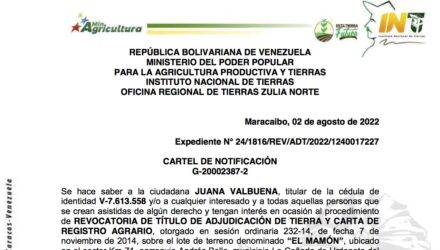 2022 08 03 EL MAMON e1659538744926