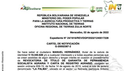 2022 08 03 LA PALMA e1659539451916