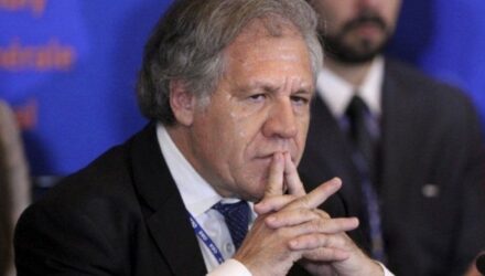 luis almagro oea venezuelajpg