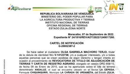 2022 09 13 ANDALUZ scaled e1663184428192
