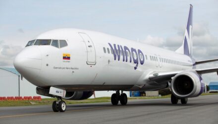 Wingo 1