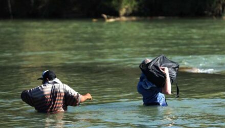 migrantes