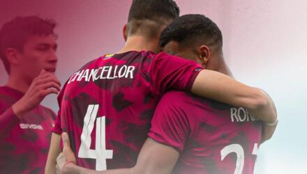 vinotinto