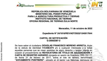 2022 10 11 AVIVAMIENTO e1665521365496