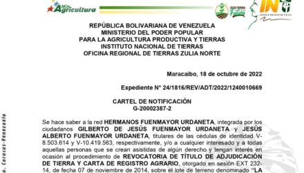 2022 10 19 LA ALEGRÍA e1666270641259