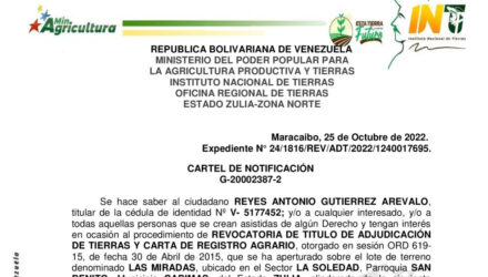 2022 10 31 LAS MIRADAS e1667227003449