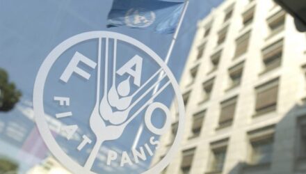 FAO