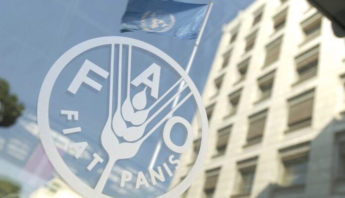 FAO