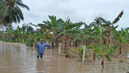 Productores agropecuarios afectados por las lluvias en Zulia