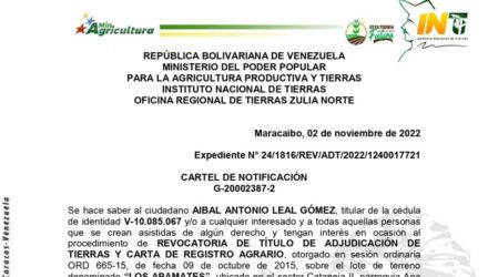 2022 11 03 LOS APAMATES e1667413453749