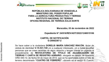 2022 11 04 CUATRO DE FEBRERO e1667570824409
