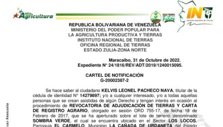 2022 11 04 SOMBRA VERDE e1667579774271