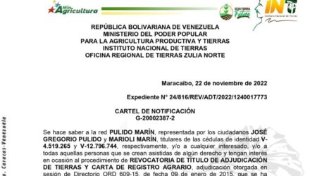 2022 11 23 LA MINA II e1669212803836