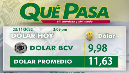 Dolar 24