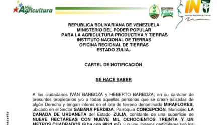 2022 02 02 MIRAFLORES e1669993720212