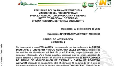 2022 12 12 VOLANDEM e1670850279281