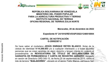 2022 12 20 1 BAILADORES e1671559771603