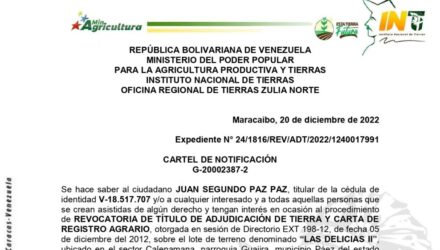 2022 12 20 3 LAS DELICIAS II e1671560070708