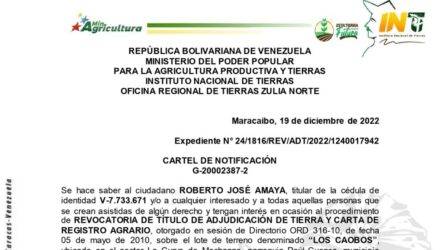 2022 12 20 LOS CAOBOS e1671549275865