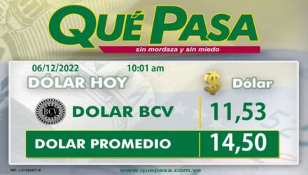 Dolar 6