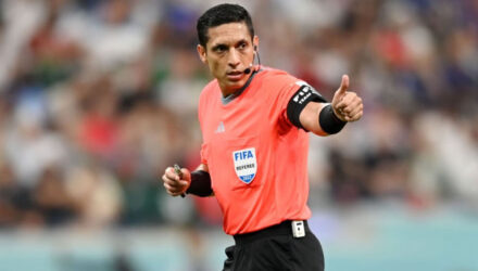 Mundial arbitro