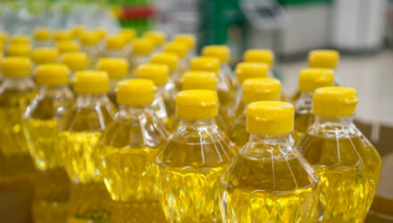 Aceite