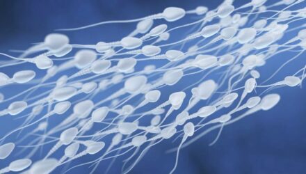 Anticonceptivos esperma