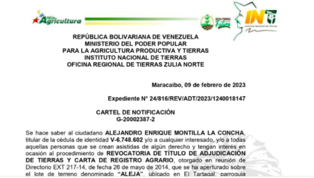 Captura de pantalla 2023 02 10 a las 10.12.50 a. m.