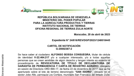 Captura de pantalla 2023 04 24 a las 12.13.02