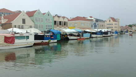 mercado flotante