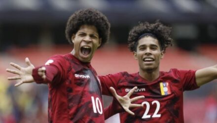 Vinotinto9