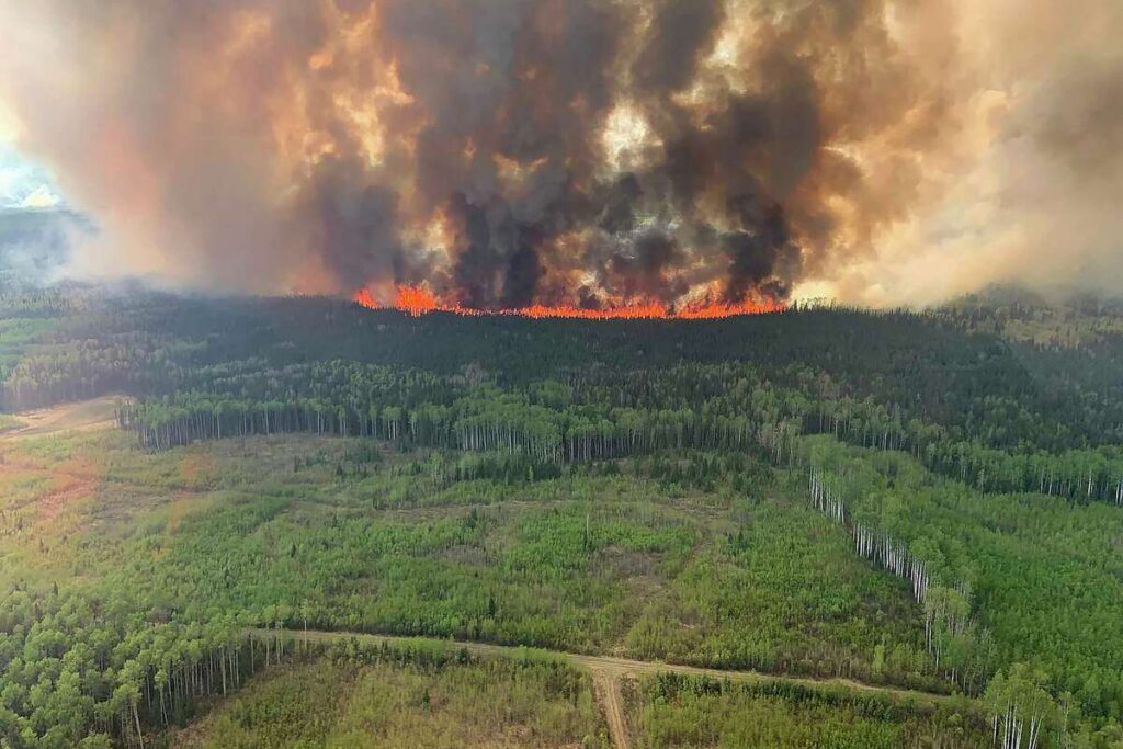 Canada Humo