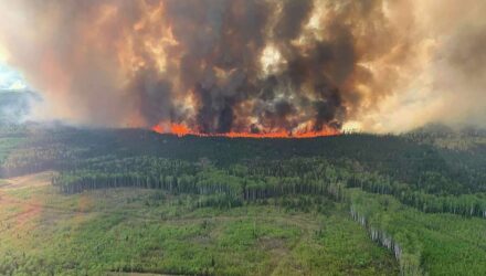 Canada Humo