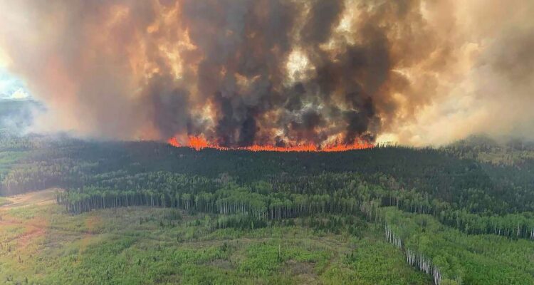 Canada Humo