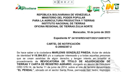 Captura de pantalla 2023 06 13 a las 10.27.16 a. m
