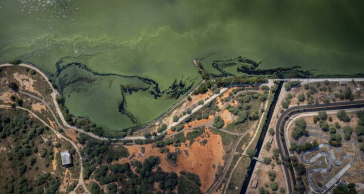 Pdvsa prometio limpieza del lago de Maracaibo afectado por graves
