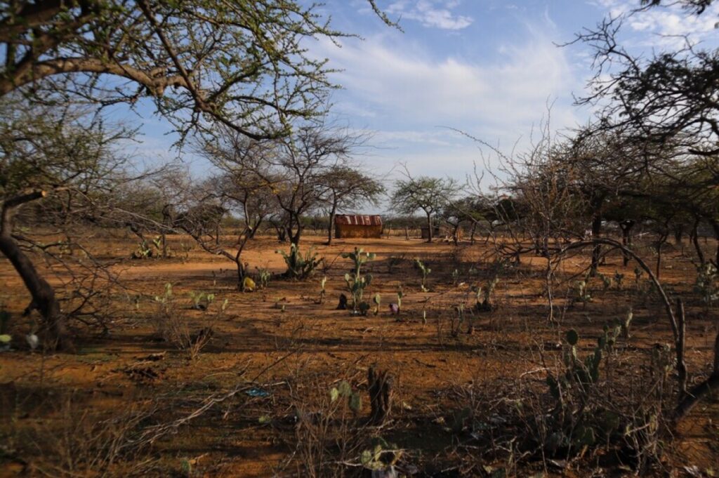 Seguia Guajira