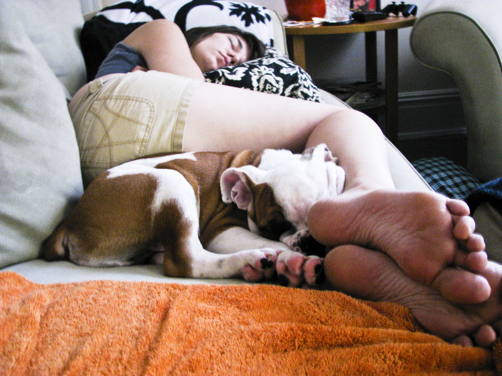 Siesta