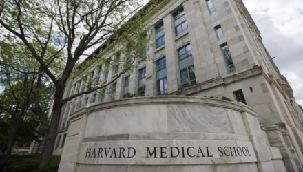 harvard