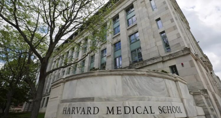 harvard