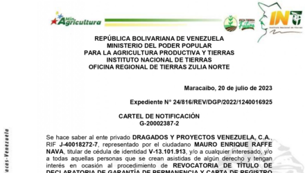 Captura de pantalla 2023 07 23 a las 11.33.53