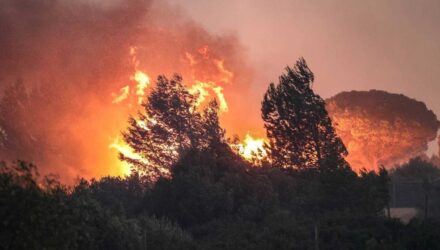 Incendios Mediterranio