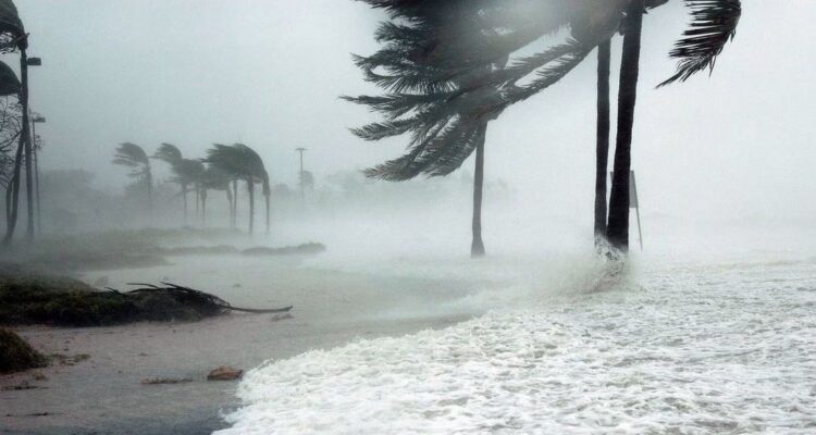 Idalia tocó tierra en el noroeste de Florida con vientos de 205 km/h (+Video) 1 IDALIA