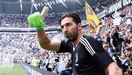 buffon