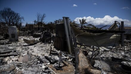 incendios maui