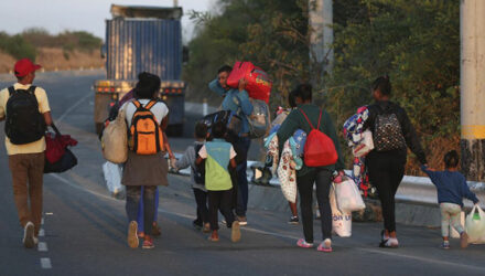 Migrantes V