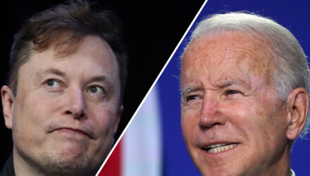 Musk Biden