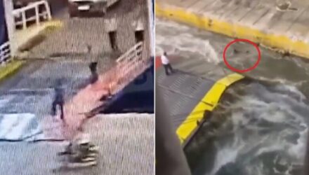 Pasajero lanzado de un ferry en Grecia