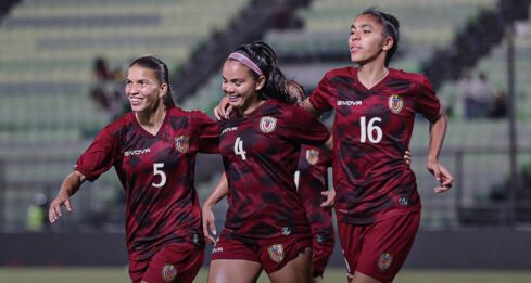 Vinotinto