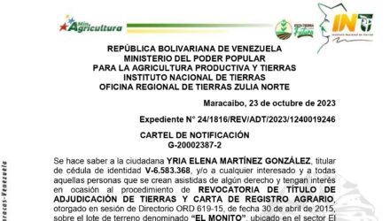 6mvqo8l6 EL MONITO